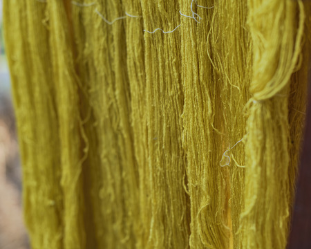 Silk , has a natural dye for fabric .の写真素材