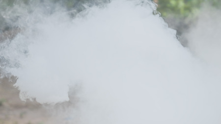 Smoke from a fire in the forest.