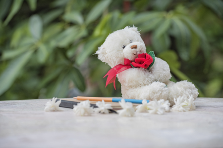 Teddy bear and diary for a memoir .の写真素材