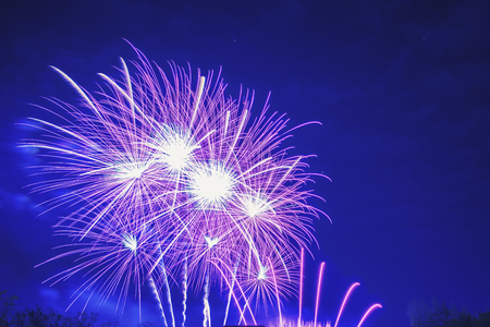 Brightly Colorful Fireworks on twilight background.Abstract colored firework background with free space for text.Colorful firework with copy space for New Year celebration, Abstract holiday background.の写真素材