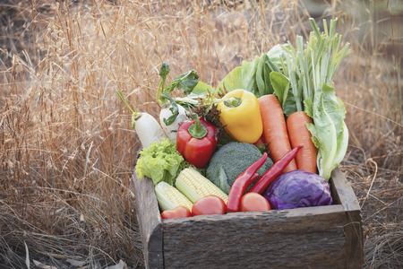 Fresh organic vegetables. Food background. Healthy food from garden. Adult Farmer Holding Fresh Local Vegetable.Vegetables on wooden background. Bio healthy organic food, herbs and spices.の写真素材