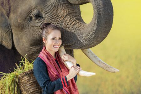Love, bonding of people and elephants. Mahout. Thai woman with elephant.Thai elephants in Chiang Mai, Thailand.の写真素材