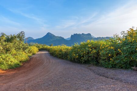 Mountain landscape with hiking trail and view of beautiful nature. A path for tourists to travel on a high mountain adventure.の写真素材