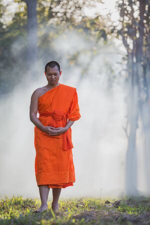 Novices practice meditation in the forest by walking and determining breath.の写真素材