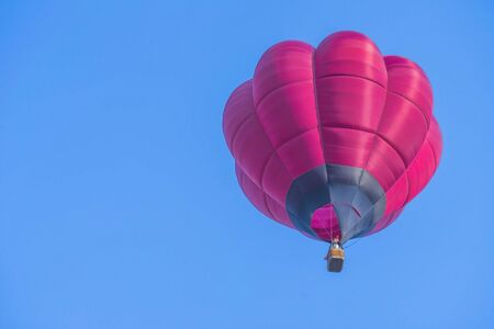 Colorful  balloon above a flower field at a national balloon festival, Natural elements and a blue sky background.の写真素材