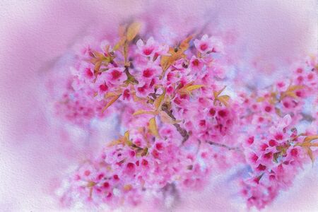 Colorful  watercolor painting of pink flowers in a white background.の写真素材