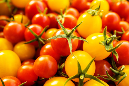 Fresh, organic, organic tomatoes.の写真素材