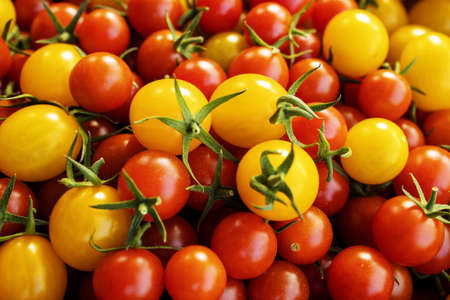 Fresh, organic, organic tomatoes.の写真素材