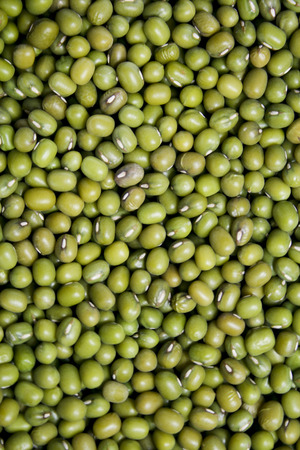 Mung Beansの写真素材