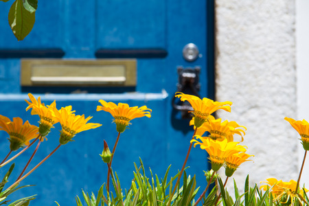 Blue door with yellow flowersの写真素材