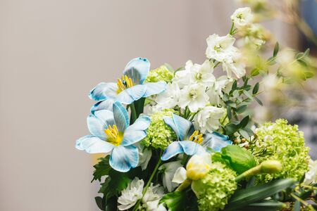 Beautiful spring flowers - Tulip, Delphinium, Narcissus , Humilation, Eucalyptus and Viburnum Roseum on bright background with copy space. Greeting card for Valentine's Day, Woman's Day and Mother's Day holidays.の写真素材