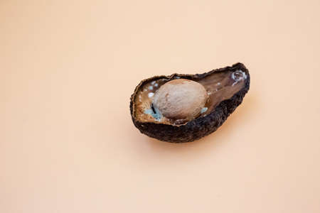 Half of unhealthy rotten spoiled avocado on light background. Bad avocado cut open. Moldy avocadoの写真素材
