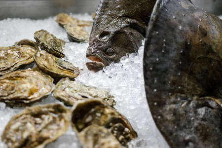Seafood - Flounder and oysters lie on the counter on ice in store. Copy space. Selective focus.の写真素材