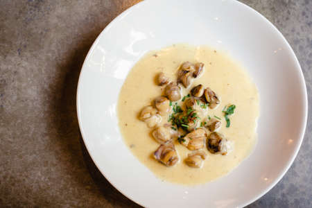 Fried rapana meat in cream sauce