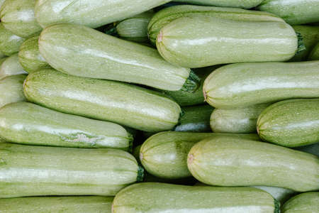Freshly picked zucchini offered at farmer's marke. Summer squash. Food background.の写真素材