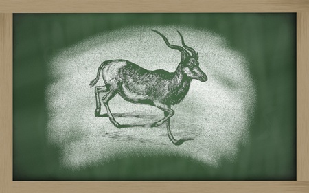 Addax nasomaculatus sketched with chalk on blackboardの写真素材
