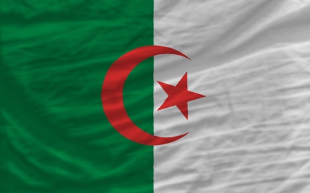 complete national flag of algeria covers whole frame, waved, crunched and very natural looking. It is perfect for backgroundの写真素材