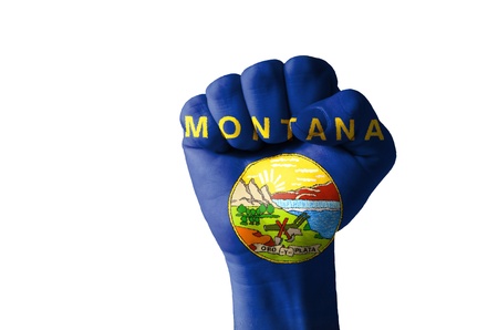 Low key picture of a fist painted in colors of american state flag of missouriのeditorial素材