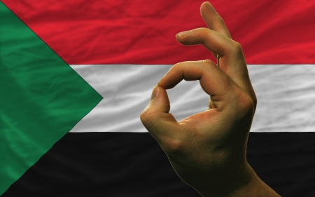 man showing excellence or ok gesture in front of complete wavy sudan national flag symbolizing best quality, positivity and succesの写真素材