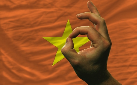 man showing excellence or ok gesture in front of complete wavy vietnam national flag of  symbolizing best quality, positivity and succesの写真素材