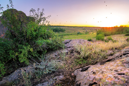 summer landscape with stone on sunsetの写真素材