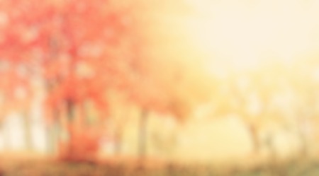 abstract autumn の写真素材