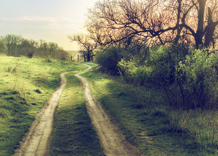 vintage road through fields with green grass and blue sky with cloudsの写真素材