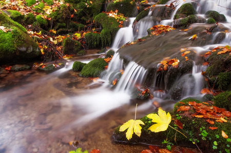 waterfall in autumn forestの写真素材