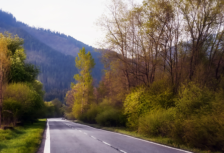 empty asphalt road and floral field of yellow flowers.