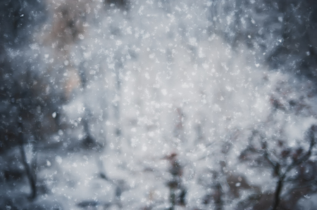 blurred winter background with snowallの写真素材