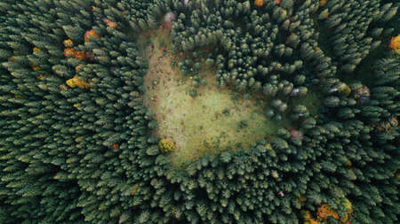 amazing aerial view of colorful autumn trees (forest) in mountaines. drone shot.の写真素材