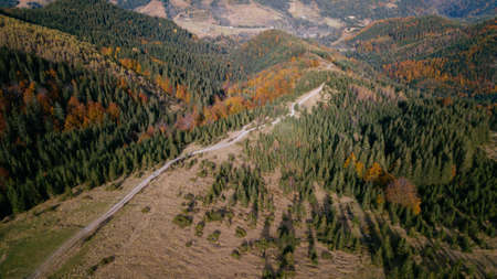 amazing aerial view of colorful autumn trees (forest) in mountaines. drone shot.の写真素材
