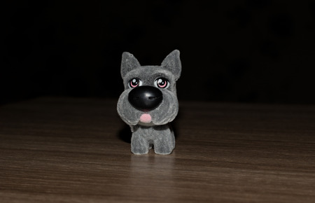 Toy dog ??on a black backgroundの写真素材