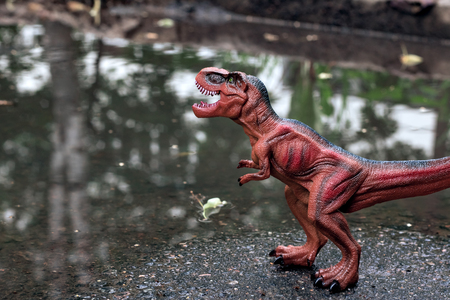 Red Tyrannosaurus near the water in the forest, non-existent animalの写真素材