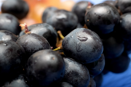 Blue grape berries with water drops close up, healthy foodの写真素材