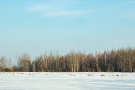 Winter sunny landscape, field and forest, snow melts in early spring