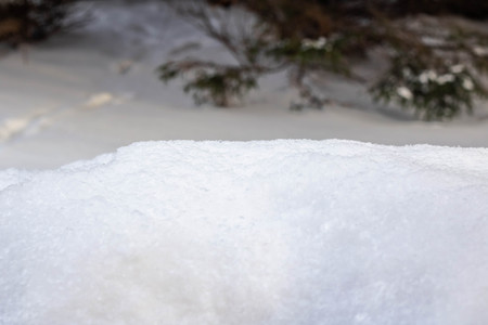 Pure white snow close up on the forest background