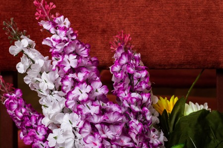 Purple and white flowers close up with copy spaceの写真素材