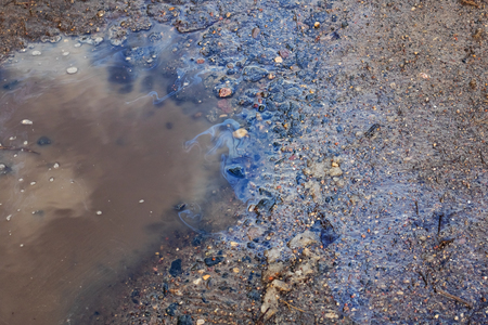Colorful puddle of gasoline on the asphalt road close upの写真素材