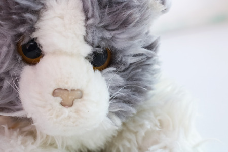 Head gray kitten plush toy close up with copy spaceの写真素材