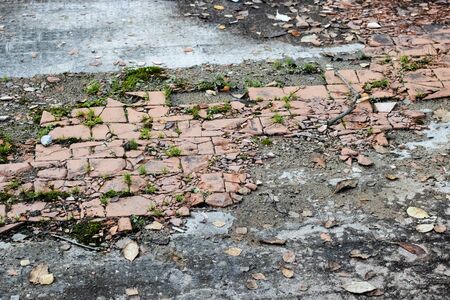 Old broken tile on the sidewalk, background or texture