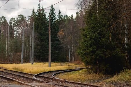 Tram rails in the yellow autumn forest close upの写真素材