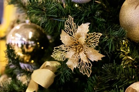 Golden bow on a Christmas tree branch close upの写真素材