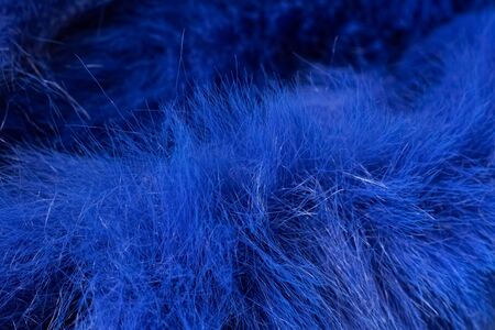 Blue fur close up, abstract background or textureの写真素材
