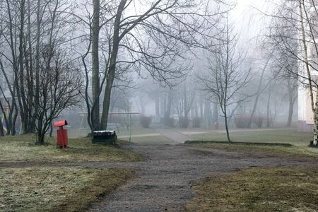 Fog in the autumn park in the morningの写真素材