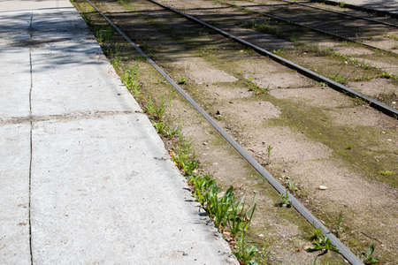 Tram rail among green grass close up, bottom view