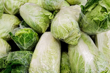 Green cabbage in packaging close up, backgroundの写真素材