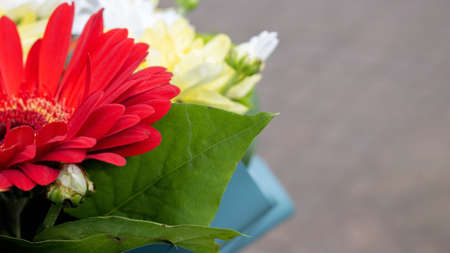 Bright red flower in a bouquet close up, copy space