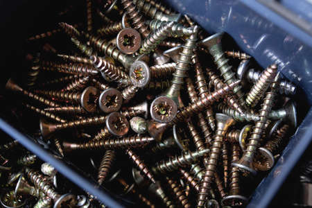 Various screws in a plastic box close up