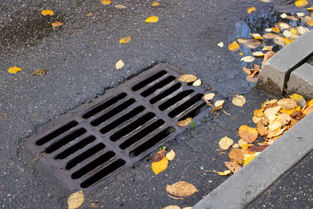 Yellow autumn leaves on the sewer grate on the roadの写真素材